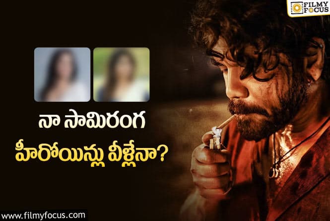 Nagarjuna: నాగార్జున సరసన ఆమె ఓకేనా…!