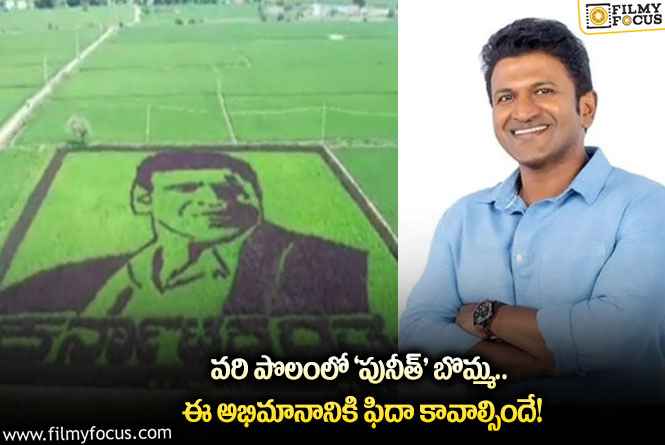 Puneeth Rajkumar: హద్దుల్లేని అభిమానం.. పునీత్ పై ఈ ఫ్యాన్ అభిమానానికి హ్యాట్సాఫ్ అనాల్సిందే!