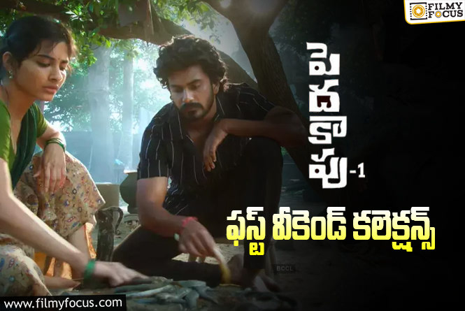 Peddha Kapu 1 Collections: ‘పెదకాపు 1’ మొదటి వీకెండ్  కలెక్షన్స్  ఎలా ఉన్నాయంటే