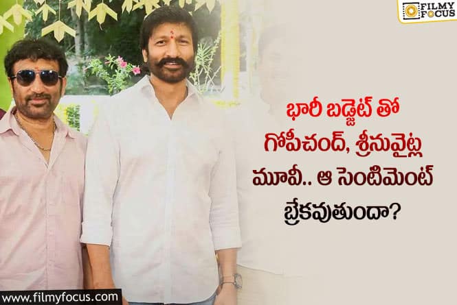 Gopichand, Srinu Vaitla: మళ్లీ అదే తప్పు చేస్తున్న శ్రీనువైట్ల.. ఈసారైనా బ్లాక్ బస్టర్ సాధిస్తారా?