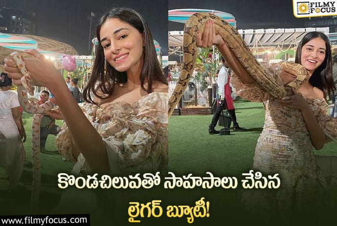 Ananya Panday: అనన్యపాండే డేర్ చూసి ఫిదా అవ్వతున్నఫ్యాన్స్..!