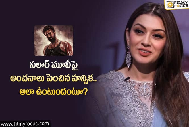 Hansika: సలార్ మూవీ సూపర్ అంటున్న హన్సిక.. ఆ విషయాలు చెప్పేసిందిగా!