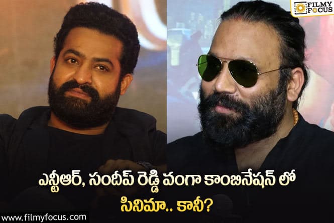 Jr NTR: జూనియర్ ఎన్టీఆర్ సందీప్ వంగా కాంబోలో సినిమా అప్పుడేనా?