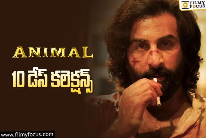 Animal Collections: ‘యానిమల్’ 10 రోజుల్లో ఎంత కలెక్ట్ చేసింది.. లాభం ఎంత?