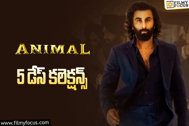 Animal Collections: ‘యానిమల్’ 5 రోజుల్లో ఎంత కలెక్ట్ చేసింది.. లాభం ఎంత?