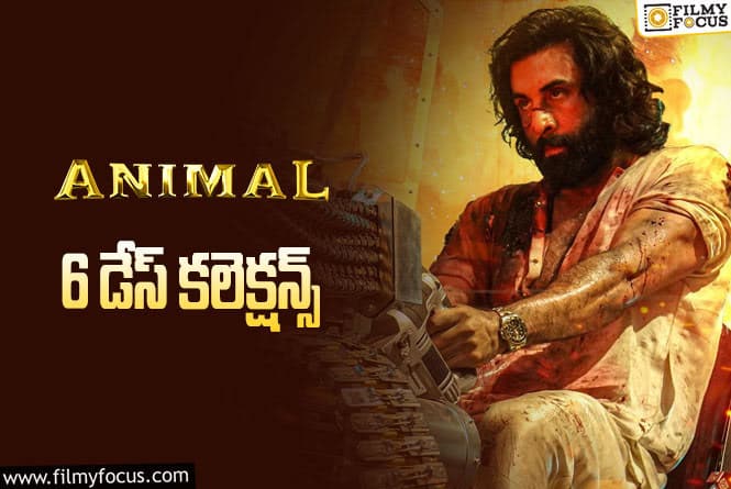 Animal Collections: ‘యానిమల్’ 6 రోజుల్లో ఎంత కలెక్ట్ చేసింది.. లాభం ఎంత?