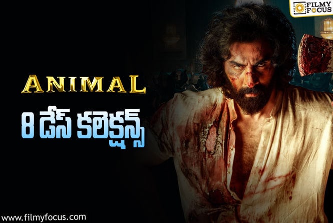 Animal Collections: ‘యానిమల్’ 8 రోజుల్లో ఎంత కలెక్ట్ చేసింది.. లాభం ఎంత?