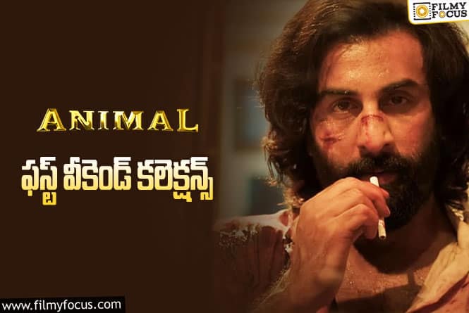 Animal Collections: ‘యానిమల్’ మొదటి వీకెండ్ ఎలా కలెక్ట్ చేసిందంటే?