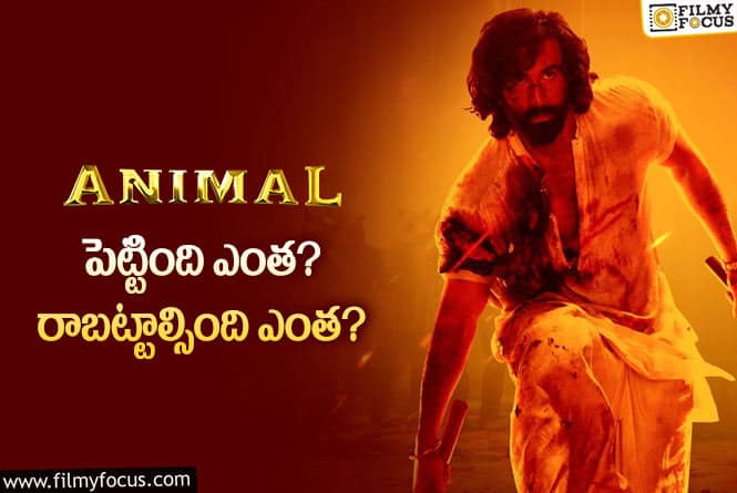 Animal: ‘యానిమల్’ తెలుగు థియేట్రికల్ బిజినెస్ డీటెయిల్స్..!