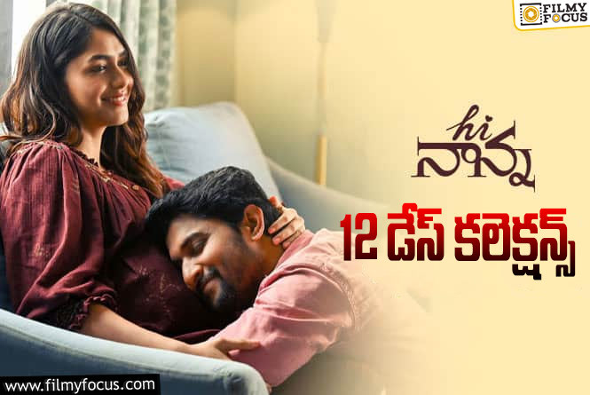 Hi Nanna Collections: ‘హాయ్ నాన్న’ 12 రోజుల కలెక్షన్స్ ఎలా ఉన్నాయంటే?