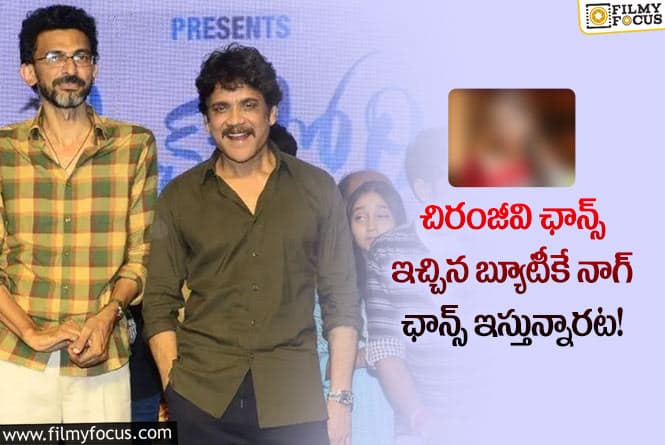 Nagarjuna, Sekhar Kammula: నాగ్ శేఖర్ కమ్ముల కాంబో మూవీలో ఛాన్స్ దక్కిన బ్యూటీ ఆమేనా?