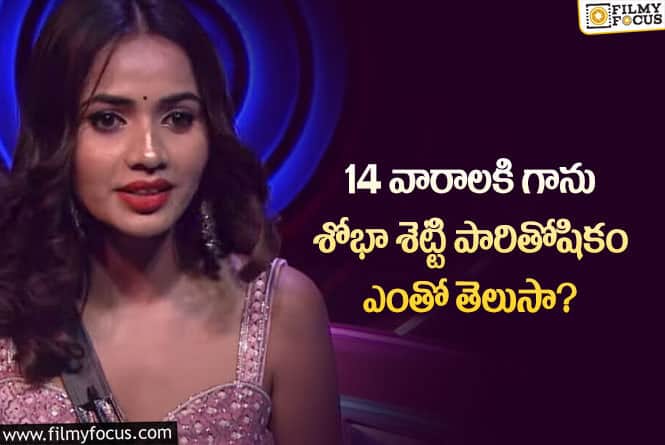 Bigg Boss 7 Telugu: ‘బిగ్ బాస్ 7’ రూపంలో శోభా శెట్టి గట్టిగానే అందుకుందిగా..!