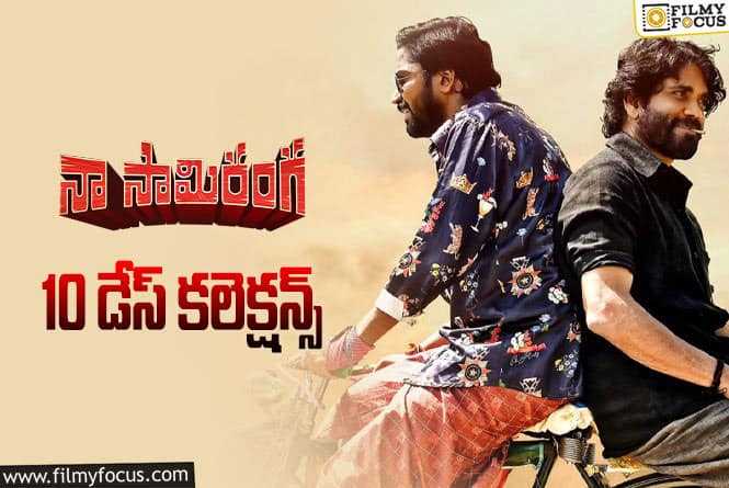 Naa Saami Ranga Collections: ‘నా సామి రంగ’ 10 రోజుల్లో ఎంత కలెక్ట్ చేసిందంటే?