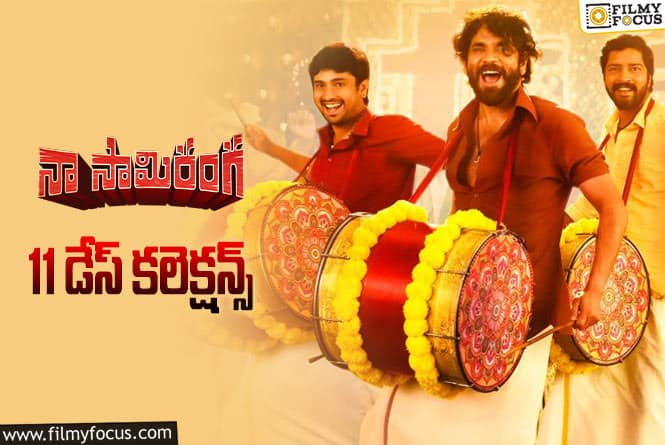 Naa Saami Ranga Collections: ‘నా సామి రంగ’ 11 రోజుల్లో ఎంత కలెక్ట్ చేసిందంటే?