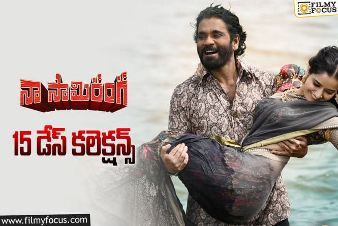 Naa Saami Ranga Collections: ‘నా సామి రంగ’ 15 రోజుల్లో ఎంత కలెక్ట్ చేసిందంటే?