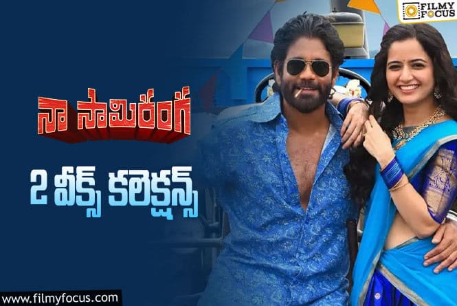 Naa Saami Ranga Collections: ‘నా సామి రంగ’ 2 వారాల్లో ఎంత కలెక్ట్ చేసిందంటే?