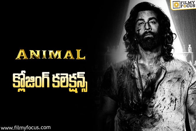 Animal Collections: ‘యానిమల్’ ఫైనల్ గా ఎంత కలెక్ట్ చేసింది.. లాభం ఎంత?