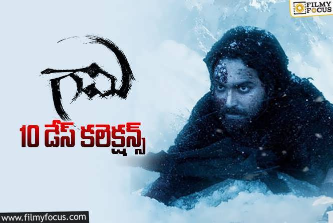 Gaami Collections: ‘గామి’ 10 రోజుల్లో ఎంత కలెక్ట్ చేసిందంటే?