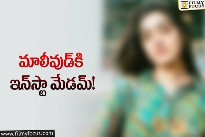 మలయాళ సినిమా ఛాన్స్‌ కొట్టేసిన శర్వానంద్‌ హీరోయిన్‌!