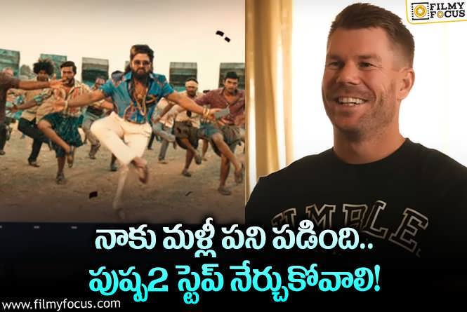 Allu Arjun, David Warner: పుష్ప2 స్టెప్ పై డేవిడ్ వార్నర్ కామెంట్.. బన్నీ రియాక్షన్ ఇదే!