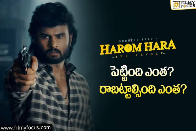 Harom Hara: సుధీర్ బాబు ‘హరోం హర’ థియేట్రికల్ బిజినెస్ డీటెయిల్స్..!